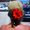 Photo of Qype User (MaeAr…)