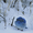 Photo of Blue S.