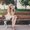 Photo of Megan D.