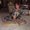 Photo of Trudy G.