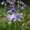 Photo of Qype User (glov…)
