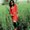 Photo of Sagarika D.