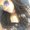 Photo of Jamiah P.
