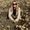 Photo of kat l.