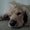 Photo of Stella M.