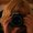 Photo of Qype User (kluel…)
