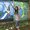 Photo of Namitha J.