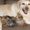 Photo of Cindy S.