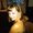 Photo of Michelle K.