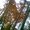 Photo of L. S.