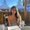 Photo of Shreya M.