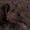 Photo of Ramon D.