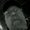 Photo of Ron J.
