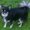Photo of Jenny S.