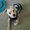 Photo of Kyla L.