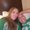 Photo of Crystal M.
