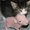 Photo of Taren G.