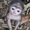 Photo of Margo K.