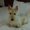 Photo of Cindy S.