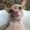 Photo of Cinnamon M.
