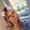 Photo of Cindy B.
