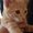 Photo of Quyen B.