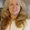 Photo of Corina D.