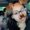 Photo of Nataly B.