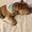 Photo of Stephany S.