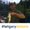 Photo of Alex L.