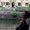 Photo of Niloofar G.
