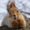 Photo of Marfa M.