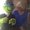 Photo of Vikki B.