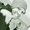 Photo of Joseph S.