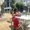 Photo of Julissa H.
