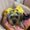 Photo of Daisy T.