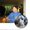 Photo of Qype User (siegit…)