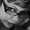 Photo of Eileen S.