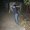 Photo of Analisa C.