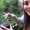 Photo of Annee T.