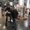 Photo of Shams O.