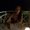 Photo of Kristen M.