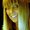 Photo of Michelle G.