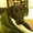 Photo of Bobbi L.