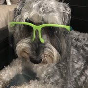 google avatar