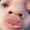 Photo of Micah G.