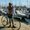 Photo of Agus D.