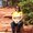 Photo of Rathna K.