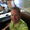 Photo of Tony W.