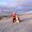 Photo of Qype User (husky4…)